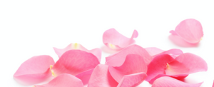 Unveiling the Blooming Secret: Rose Oil's Marvels for Your Skin